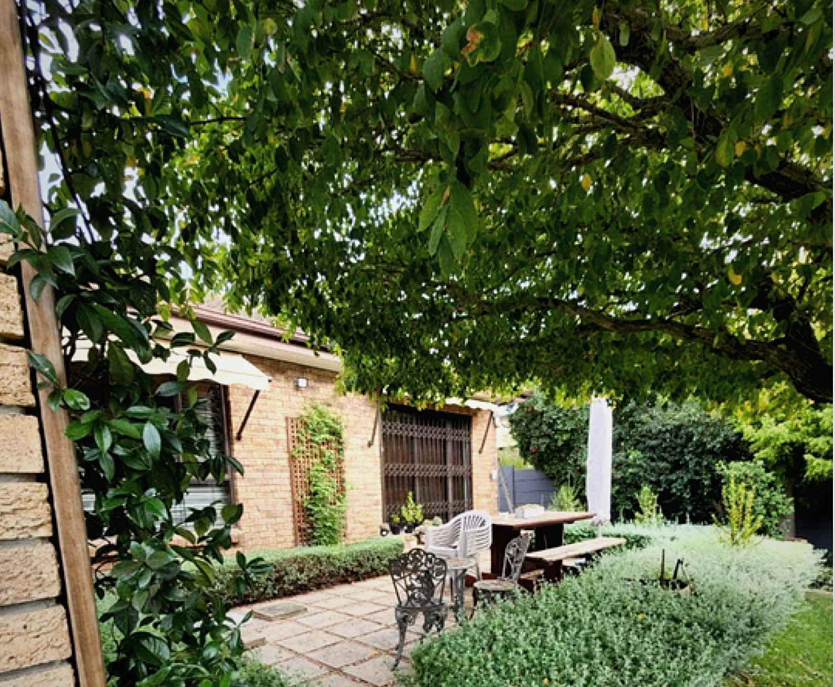 Garden before renovation